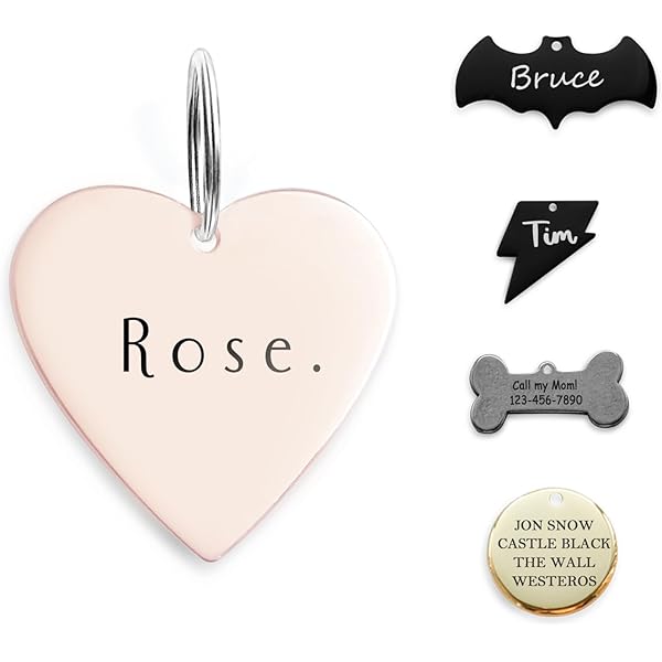 °. ♡ .° ADOGINTHEHOUSE 316 Acero Inoxidable de Nombre Collares